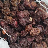 آلو وزردآلو وامسال|خوردنی و آشامیدنی|کرج, شعبان‌آباد|دیوار