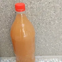 آبغوره تازه