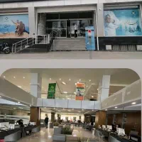 استخدام همکار خانم در شیفت صبح