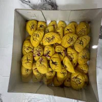 پخت به روز شیرینی ها و کیک های خونگی|خدمات پذیرایی، مراسم|لاهیجان, گلستان|دیوار