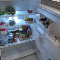 یخچال فریزر تکنو لایو|یخچال و فریزر|رشت, پارک شهر|دیوار