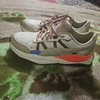 دوجفت کتونی اورجینال پوماوآدیداس زدیکس