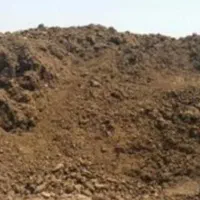 کود حیوانی