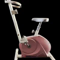 دوچرخه ثابت|تجهیزات ورزشی|شاهین‌شهر, امیرکبیر|دیوار