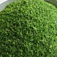 سبزی قورمه و  خام خرد شده|خوردنی و آشامیدنی|رشت, استقامت ۱|دیوار