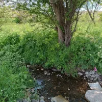 زمین در روستای گرده وباغ ۵۰۰۰متری در میرزانق|فروش زمین و ملک کلنگی|عنبران, |دیوار