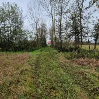 با ۹۷۰ میلیون از امروز شروع به ساخت کن+ امتیاز گاز|فروش زمین و ملک کلنگی|رشت, بازار|دیوار