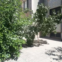 158متر ملک در 2 طبقه قابل سکونت خیابان شکوفه
