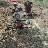 خدمات باغبانی شخم هرس درخت وهرسکاری چاله کن فنس|خدمات باغبانی و درختکاری|همدان, |دیوار