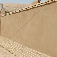 مقداری سبزی پیدا شده