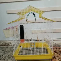 فروش قفس در حد نو با کل وسایل