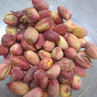 نیروکار