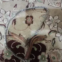 زنجیر معاوظع با کبوتر