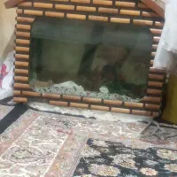 ۴اکواریوم برای دکور خونه وبزرگاش برافروش ماهی قرمز