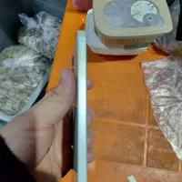 a16 رام 6 gآکبند|موبایل|نسیم‌شهر, |دیوار