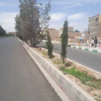 زمین-بر-خیابان-دو-نبش