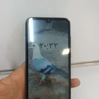 گوشی 8a هانر|موبایل|سبزوار, همت|دیوار