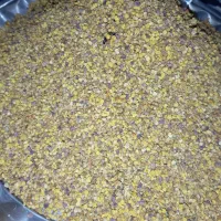 گرده گل