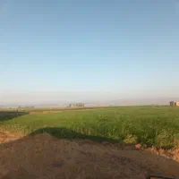 زمین کشاورزی