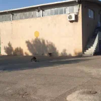 فروش کارخانه بسته‌بندی ادویه و حبوبات - مجوز کامل|فروش دفتر صنعتی، کشاورزی، تجاری|رباط‌کریم, انجم آباد|دیوار