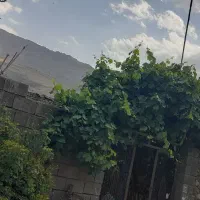 اجاره روزانه/هفتگی/ماهانه آپارتمان ۸۰۰ متری|اجارهٔ کوتاه‌مدت آپارتمان و سوئیت|ازنا, |دیوار