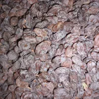 کشمش آفتابی|خوردنی و آشامیدنی|ساوه, |دیوار