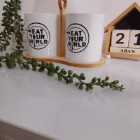 جا قاشقی دوقلو