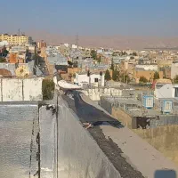 کفتر سیاه زاغ آبادانی ۳میلیون تومن