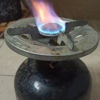 پیک نیک سالم