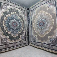 جشنواره/فرش شقایق/اکبریان