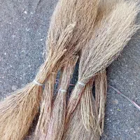 جارو کشمونی