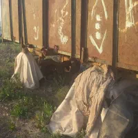 تریلی ترکتور