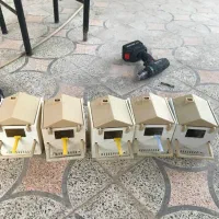 چال جاوا چال فنچ