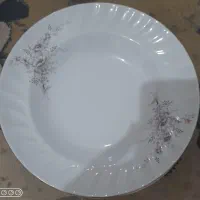 ظرف چینی وانگشتی|ظروف سرو و پذیرایی|سنندج, |دیوار