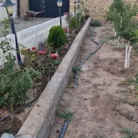 فروش-باغچه-500-متری