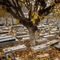 یادکد هر قبر ، یک کتاب زنده خاطرات