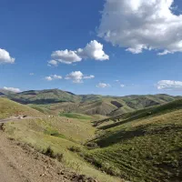 هرس باغ ( از نهال تا سال خورده )