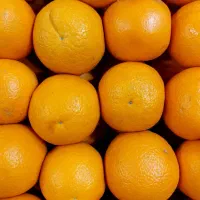 پرتغال شیرین و آبدار + هایپر میوه گلچین