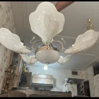 لوستر در حد اک پنج برگ سه برگ