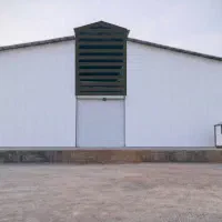 کار نقاشی سوله