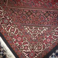 فرش دستباف زرنیم|فرش|زنجان, |دیوار