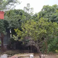 رهن کامل تکواحدی دربست ویلایی۴۰۰متری در سروینه باغ