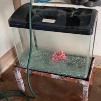 آکواریوم شرکتی کاملا سالم|ماهی|مسجد سلیمان, |دیوار