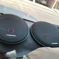 دو جفت میدرنج و ساب