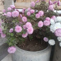 فروش  زمین مغازه