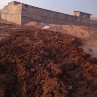 کود حیوانی|لوازم جانبی حیوانات|اسفراین, |دیوار