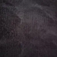 کیف مدارک گم شده