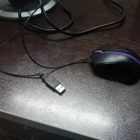 کیس مانیتور موس|رایانه رومیزی|شیراز, بالا کفت|دیوار