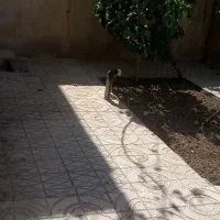 یه واحد ۱۲۰ متری همکف کابینت ام دی اف آیفون تصویری|اجارهٔ خانه و ویلا|محمدشهر, ولدآباد|دیوار