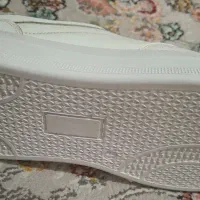 ونس تمام. چرم طبیعی تبریز|کیف، کفش، کمربند|تهران, شادمان|دیوار